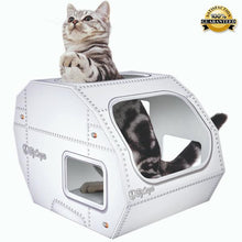 Kitteh Camper